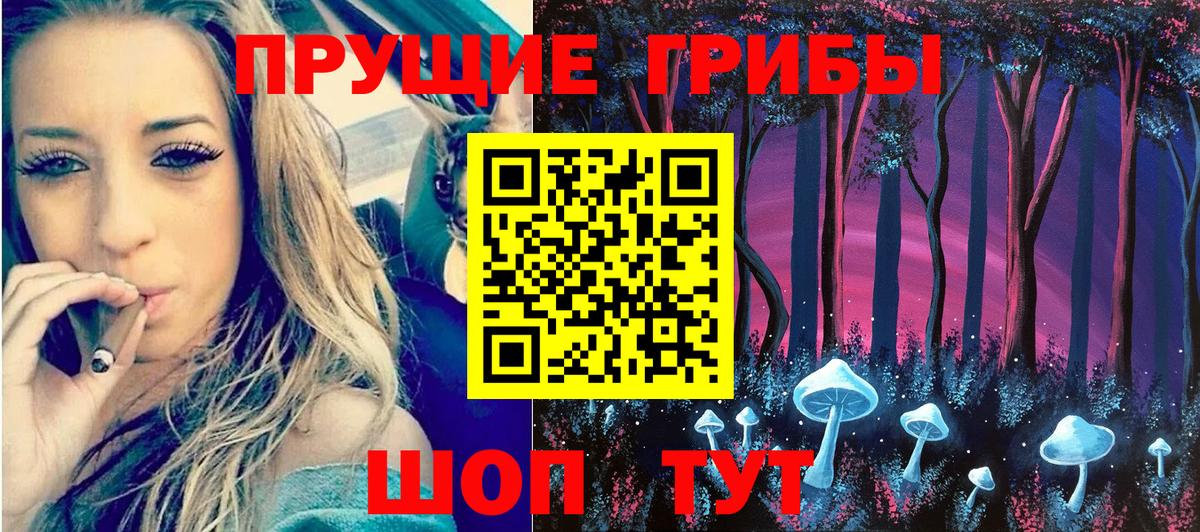 Псилоцибиновые грибы GOLDEN TEACHER Аксай